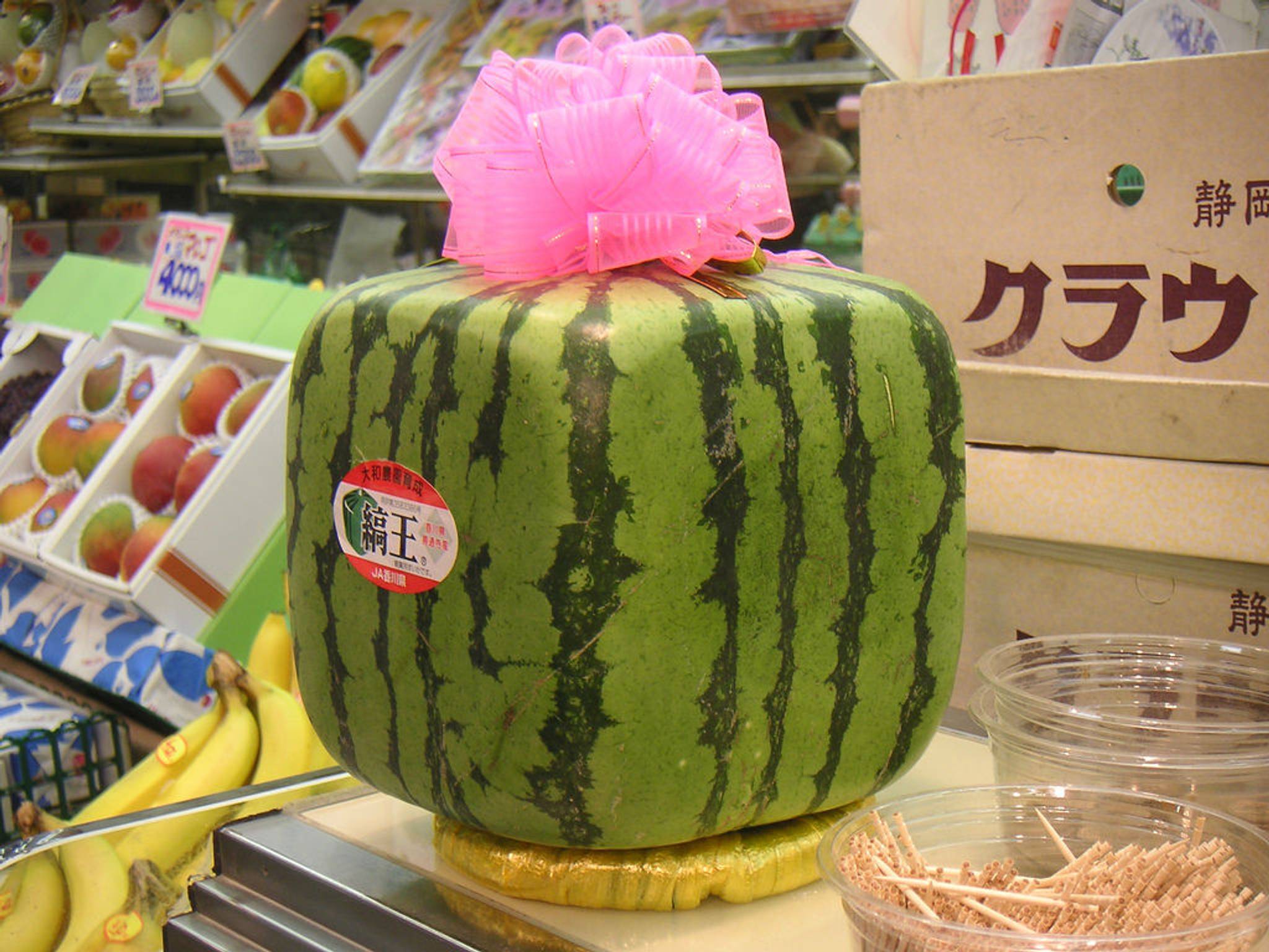 High-end fruit is a status symbol in Japan