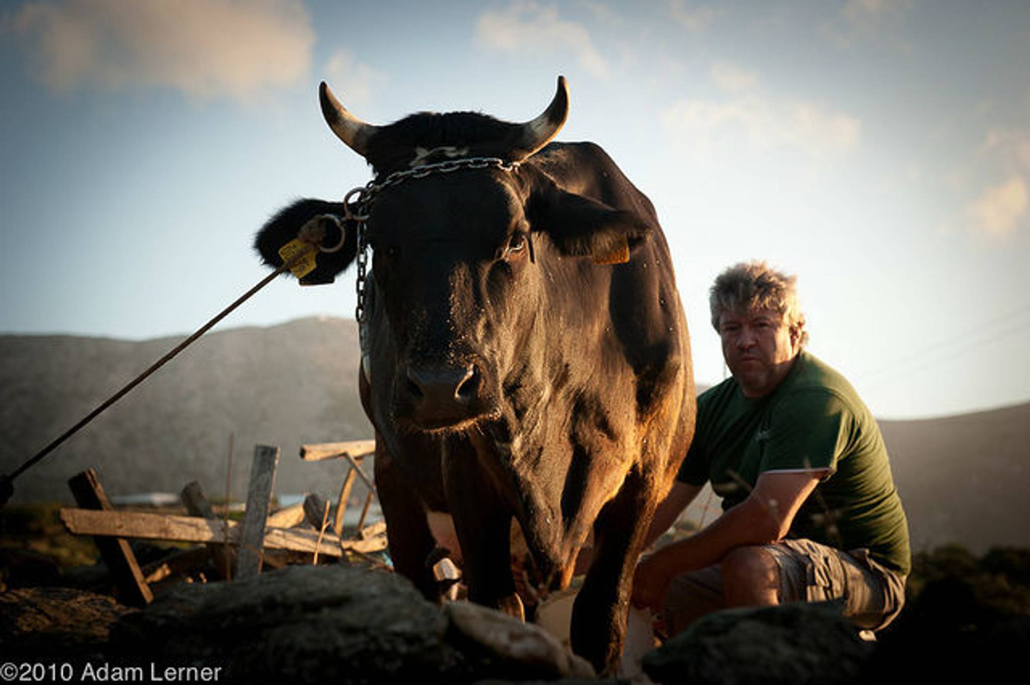 Sainsbury's shows it cares about UK farmers