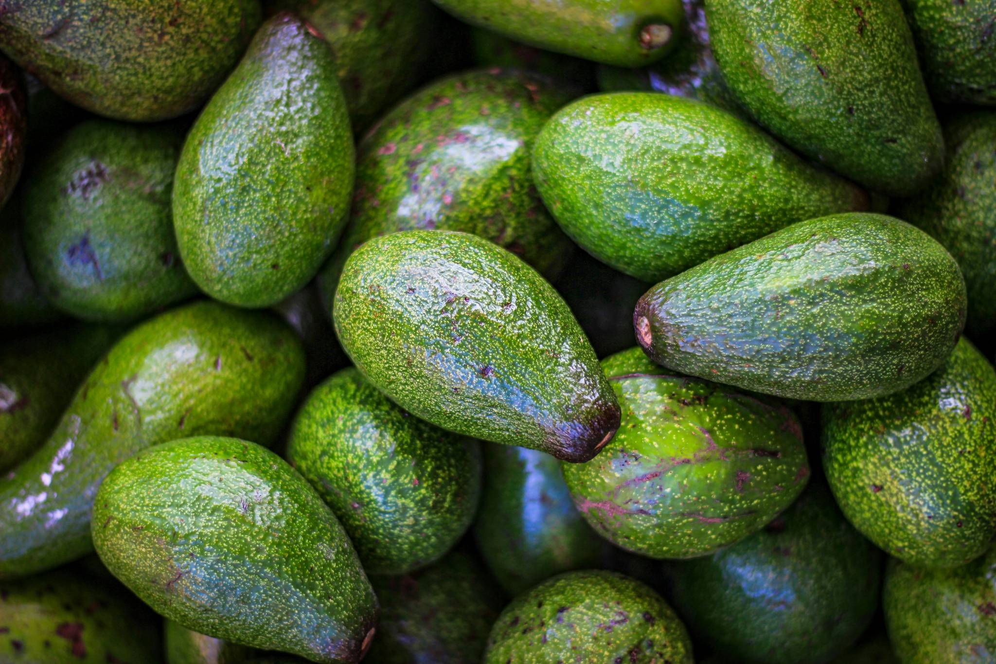 Tesco tattoos avocados to cut down on plastic waste