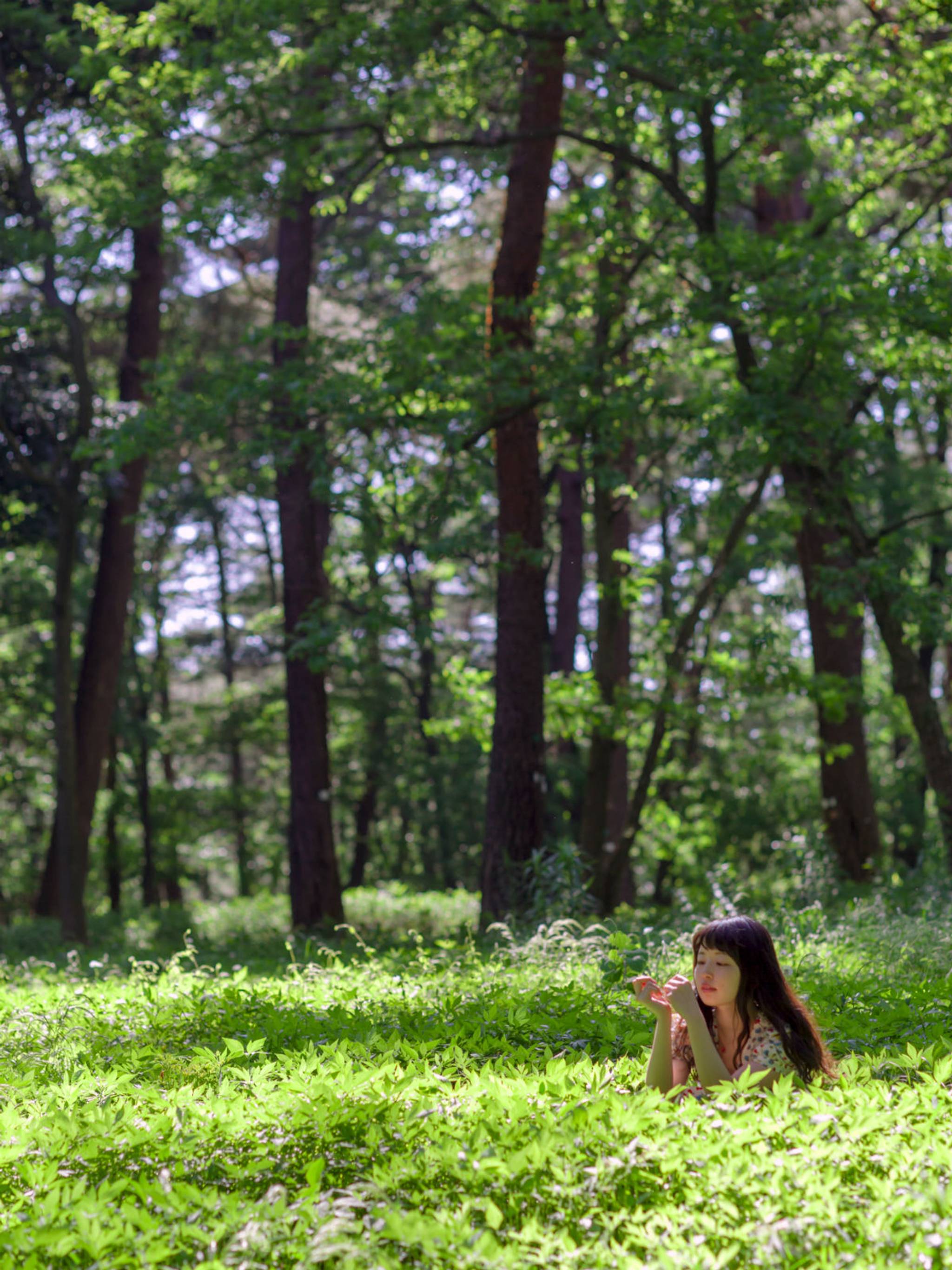 Forest bathing can aid mental and physical health