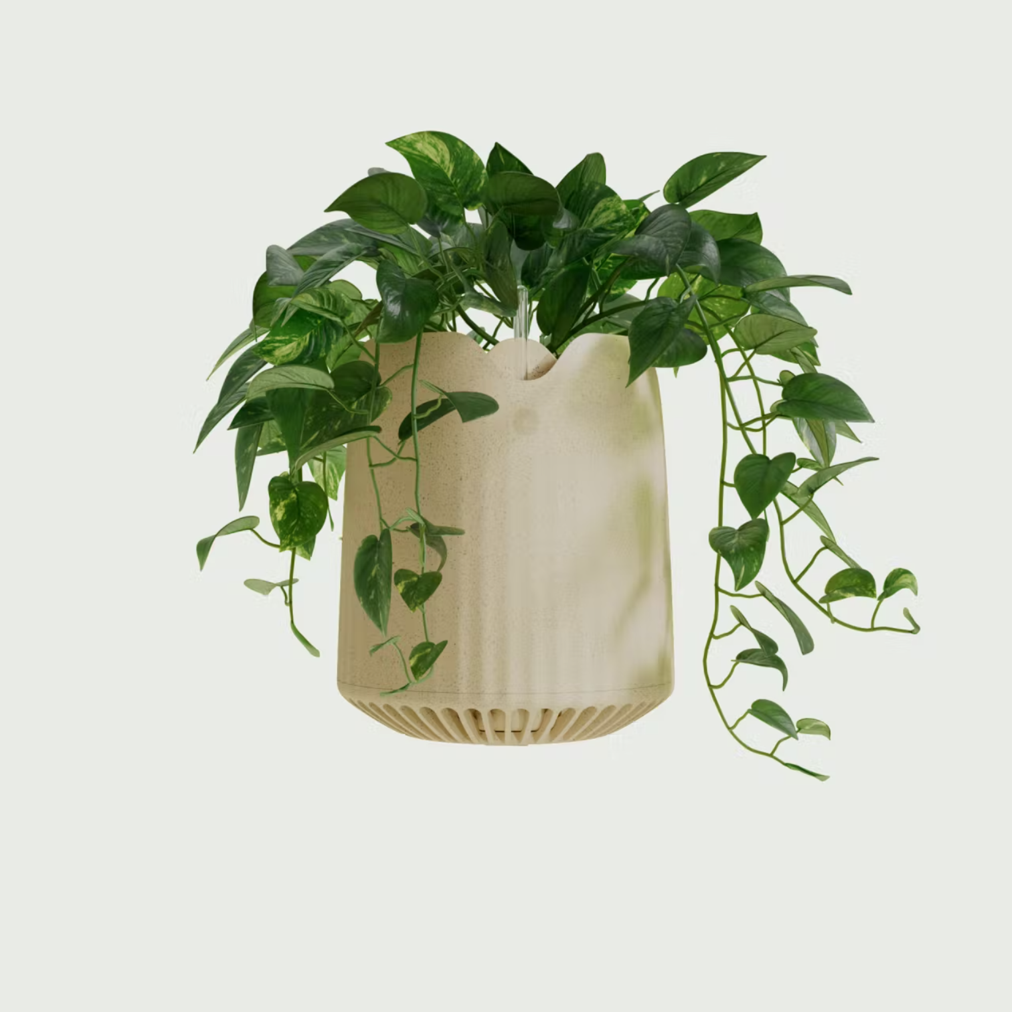 Neoplants' modified house plants purify the air