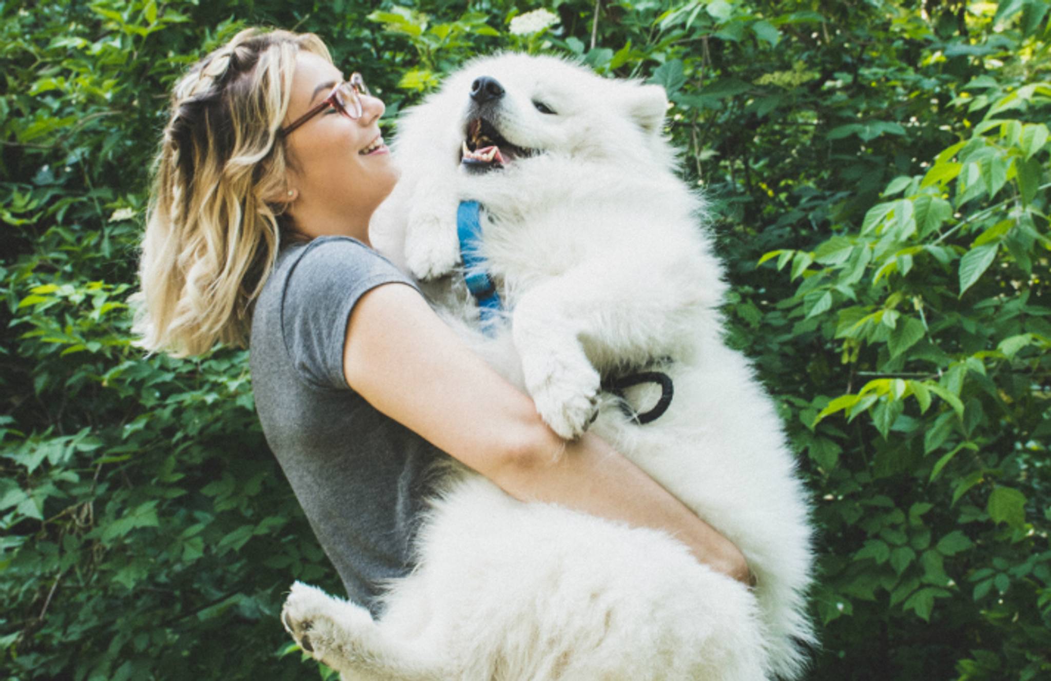 The Dog Agency: fostering fame for furry influencers