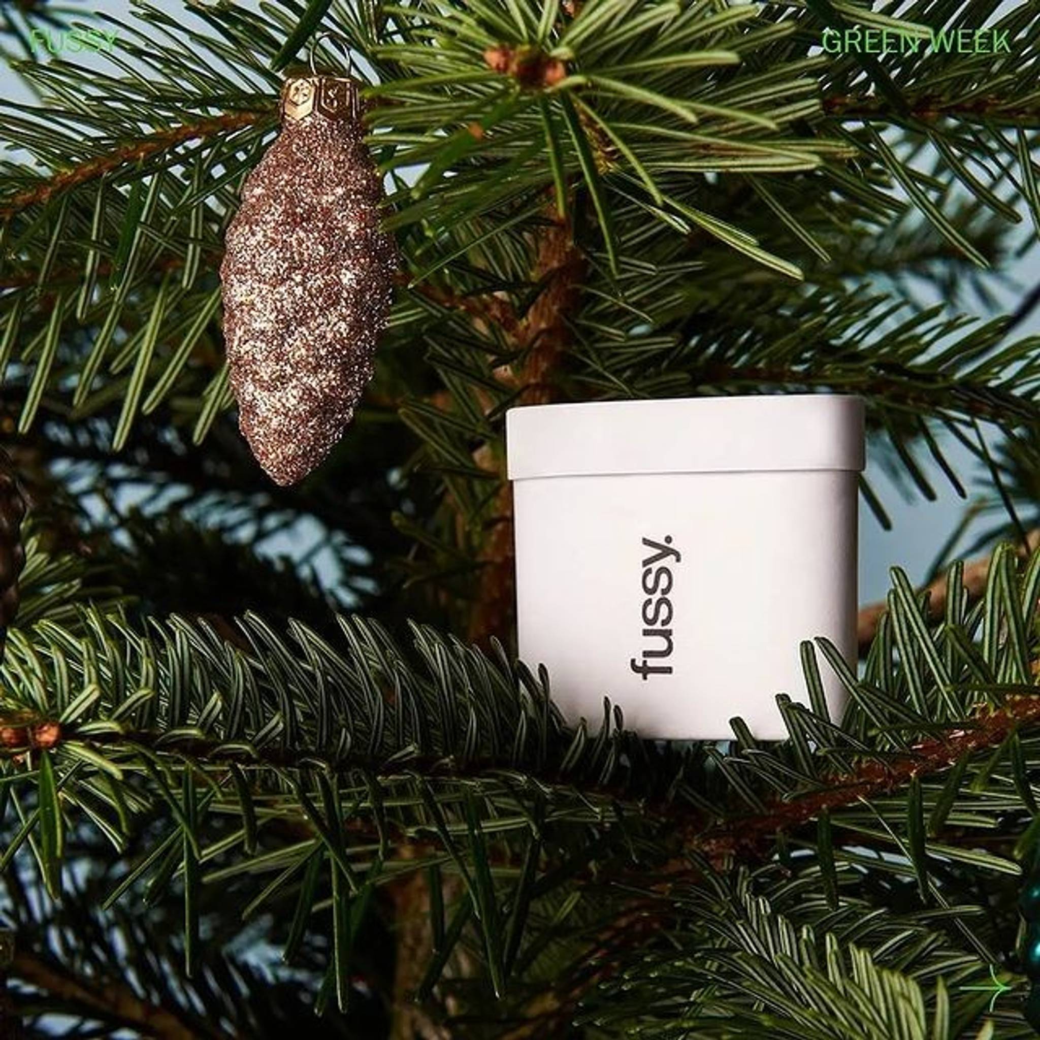 Fussy upcycles wonky trees for eco festive fragrance