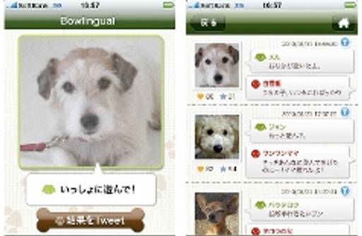 iPhone app translates dog language