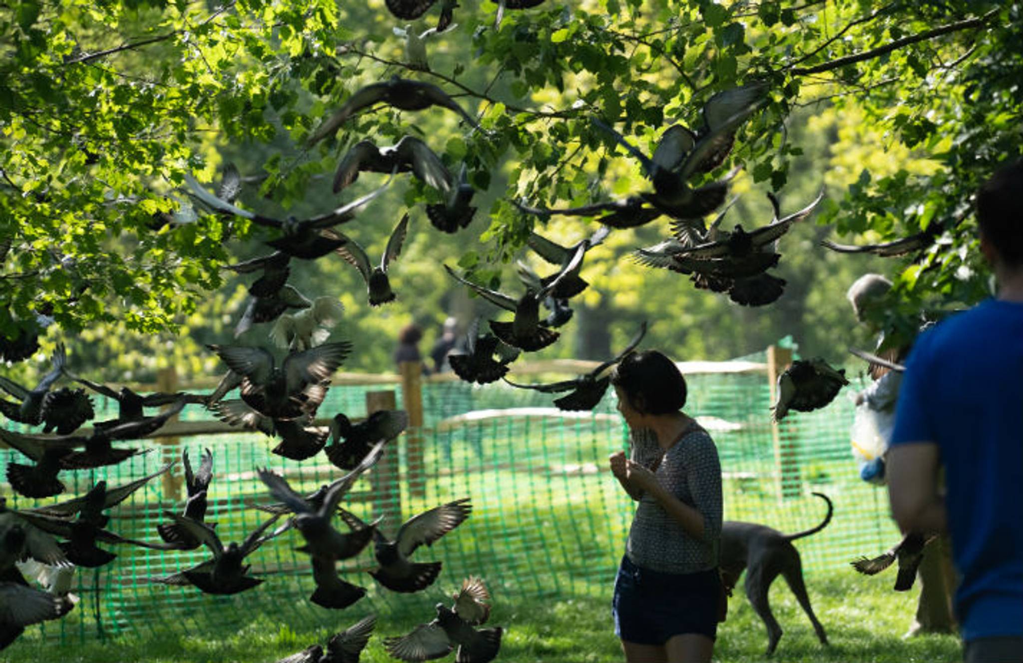 Green spaces offer lifelong mental health benefits