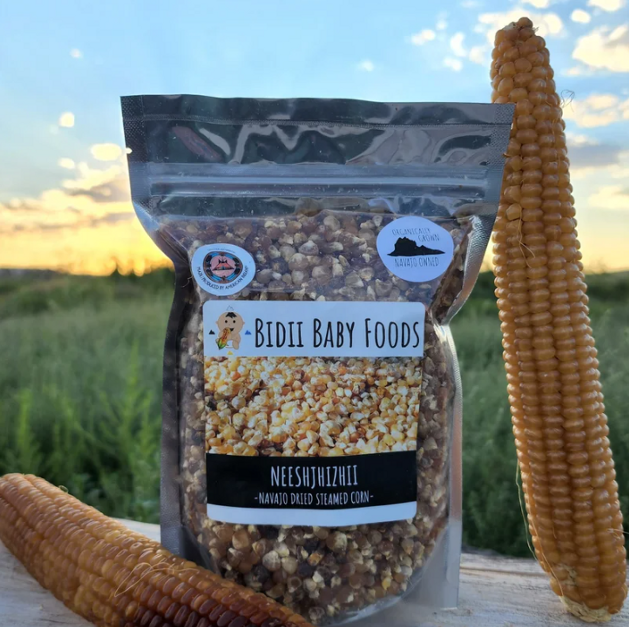 Bidii Baby Foods tackles food deserts in Navajo Nation