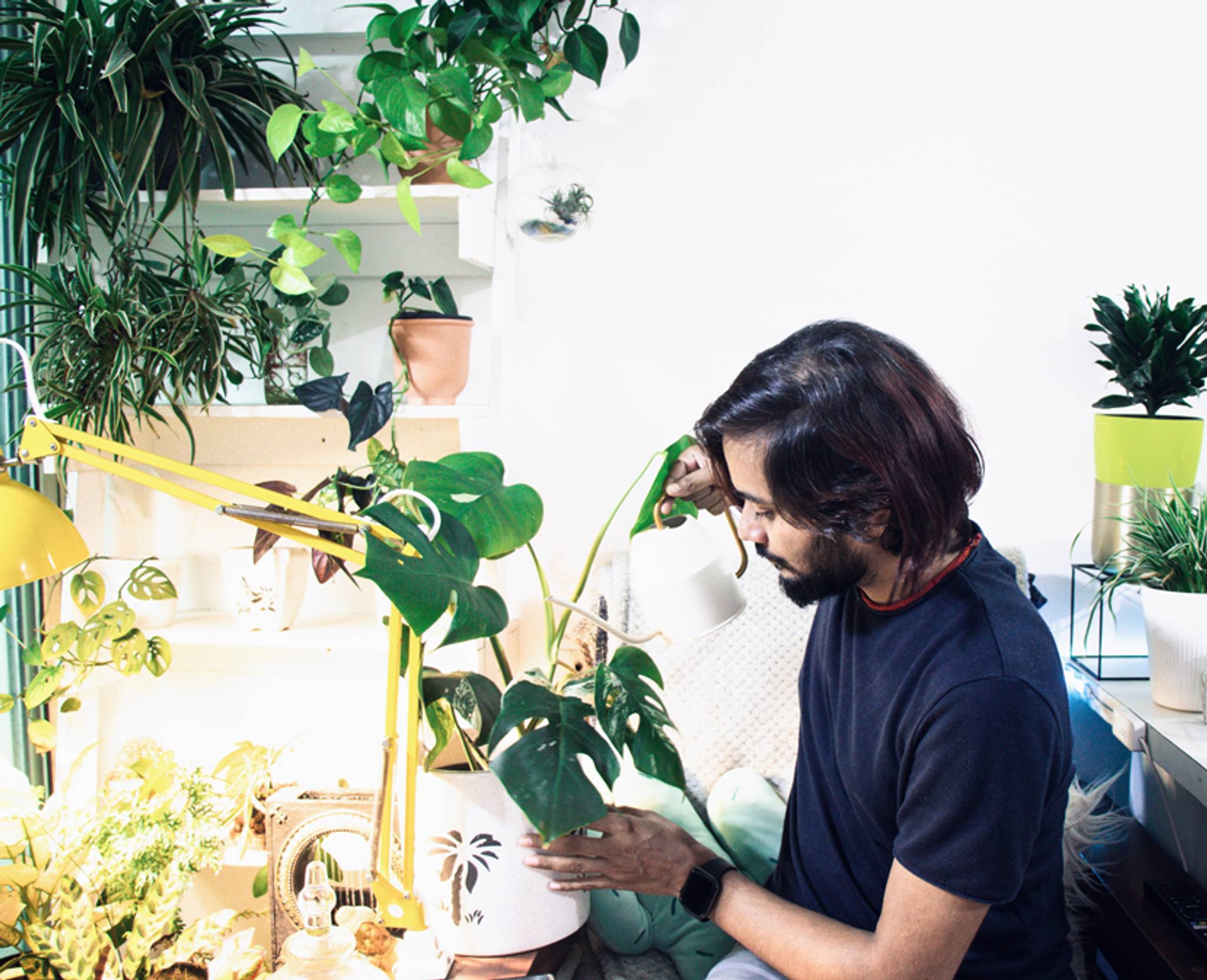 How are plant parents taking sustainable action?