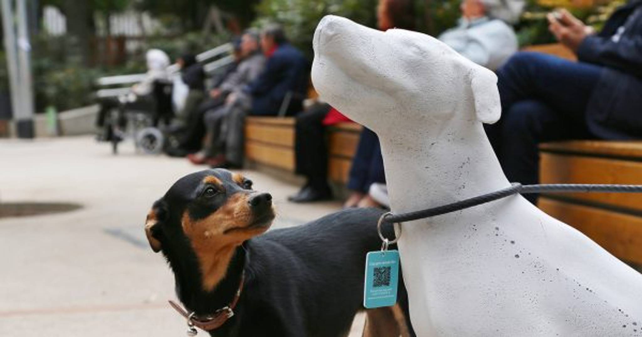 Barcelona dog statues encourage pet adoption