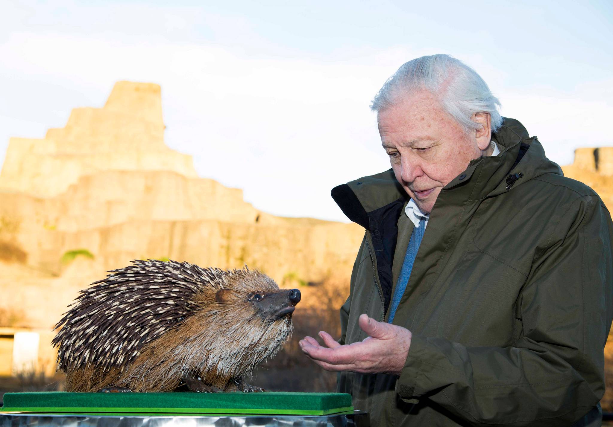 Young people are David Attenborough’s biggest fans