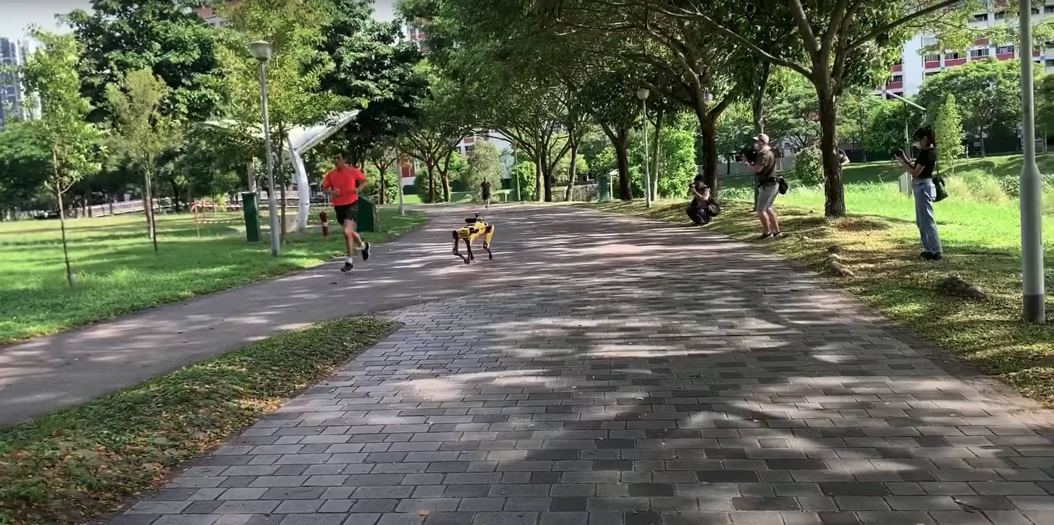 AI dogs help Singapore enforce social distancing