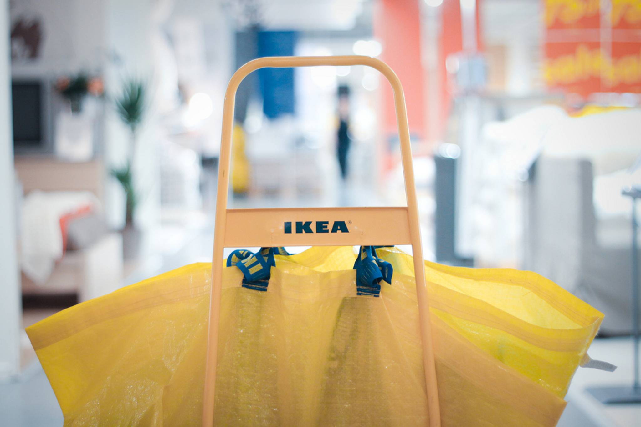 IKEA to use mushroom-based biodegradable packaging