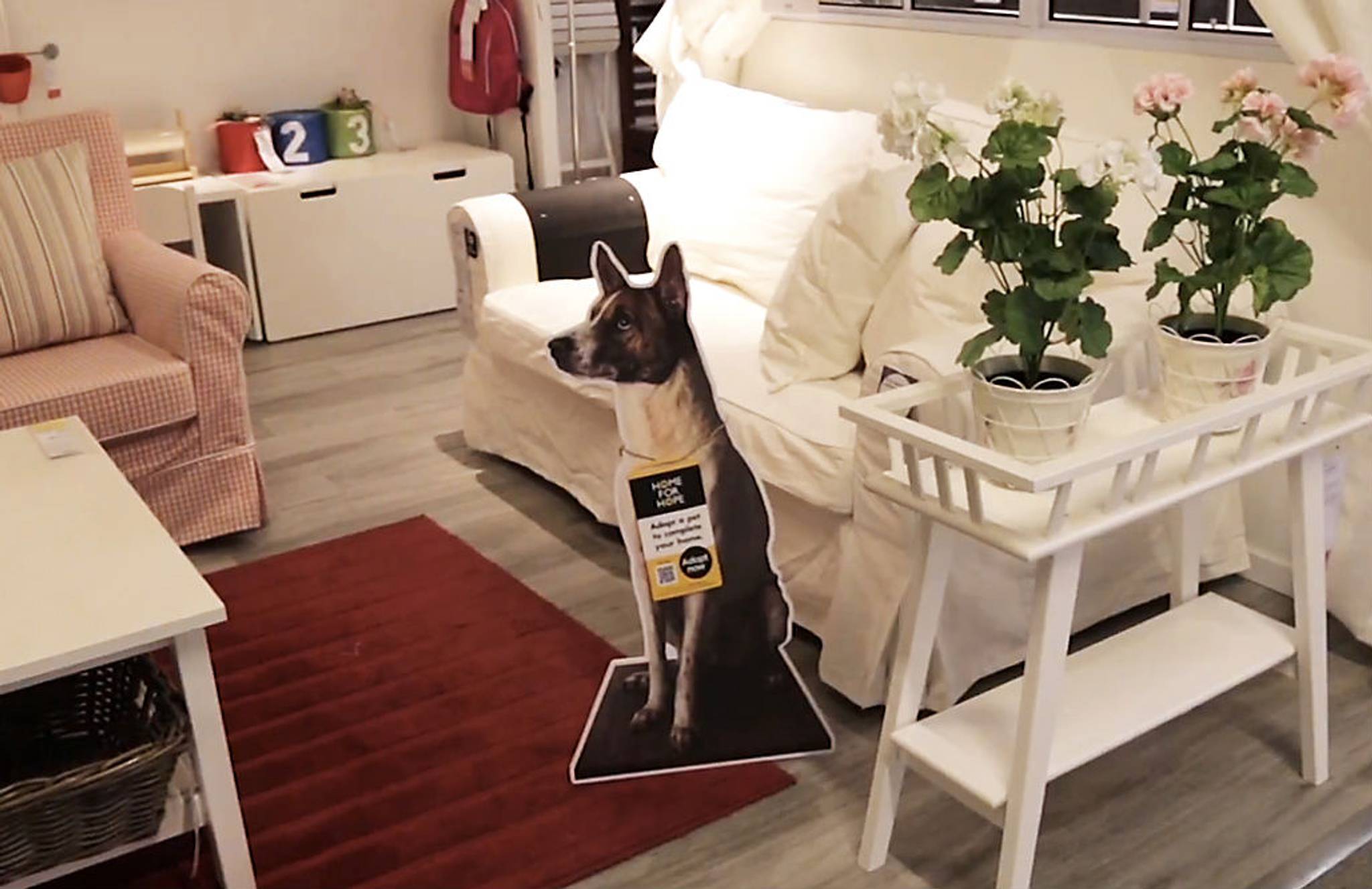 Man's best friend now comes with your sofa