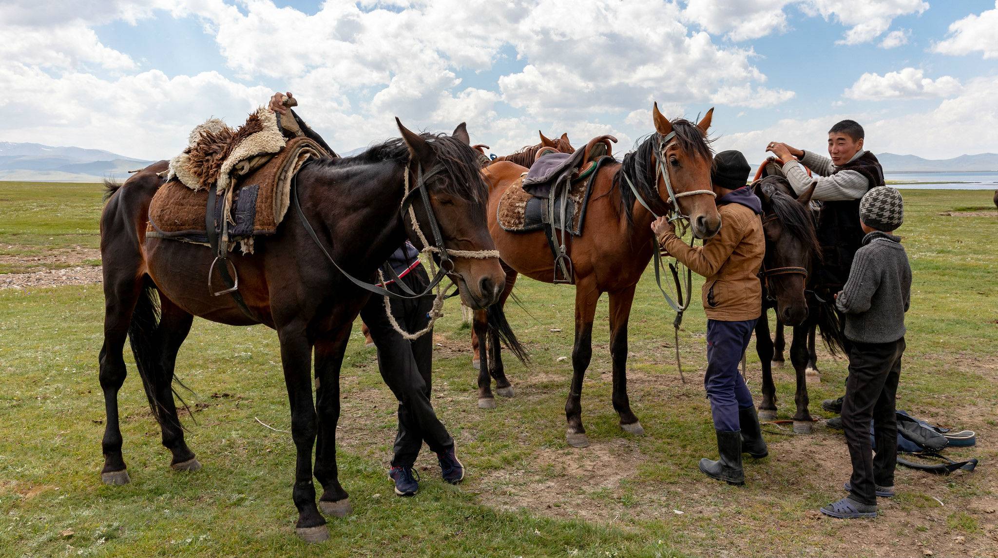 Equestrian-obsessed Chinese signal wealth with sport