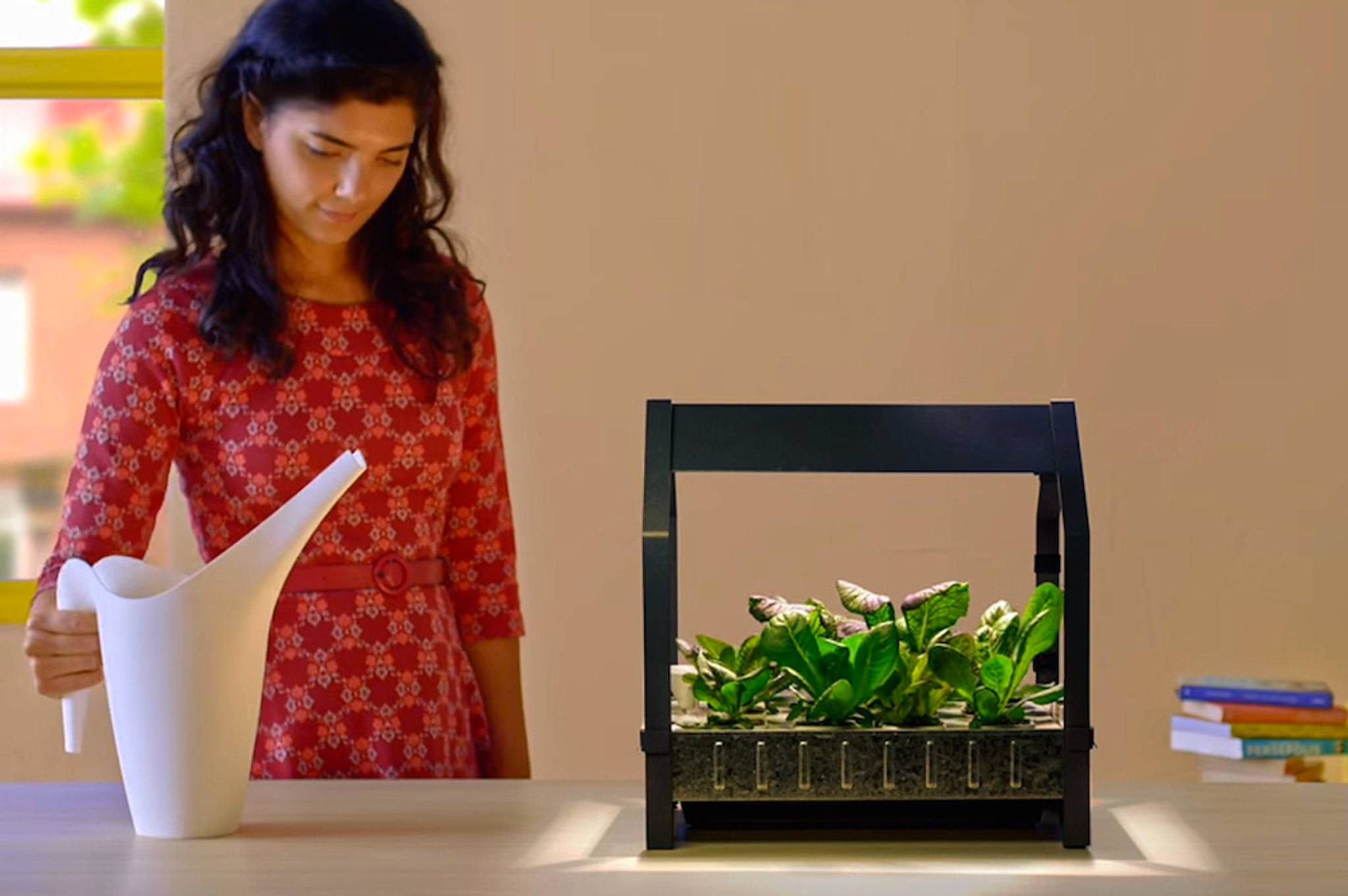 IKEA helps people grow plants indoors