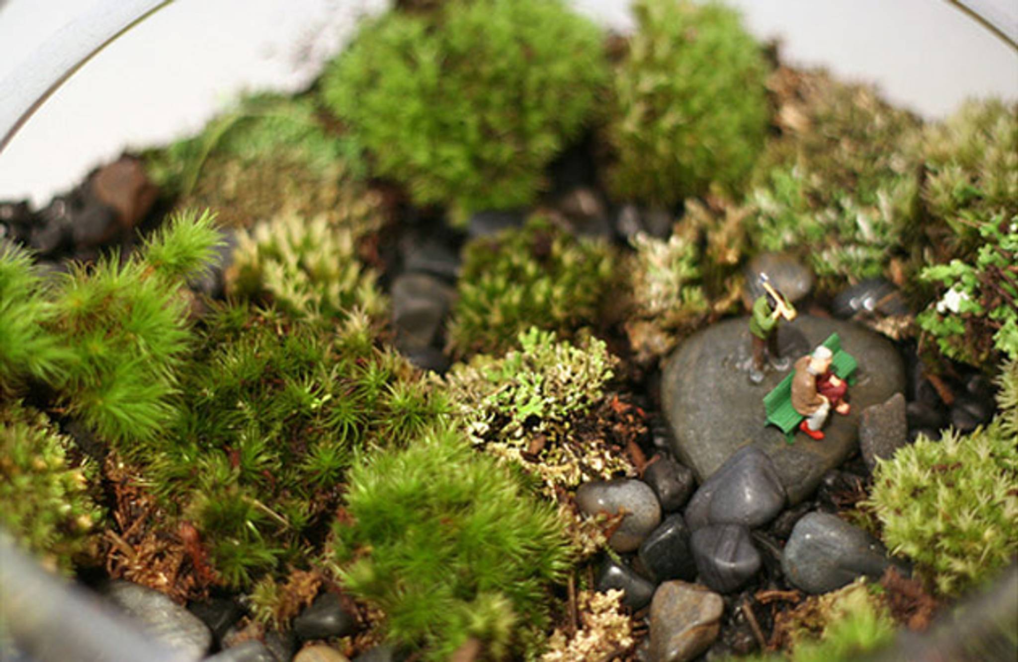 Twig Terrariums, and other small worlds