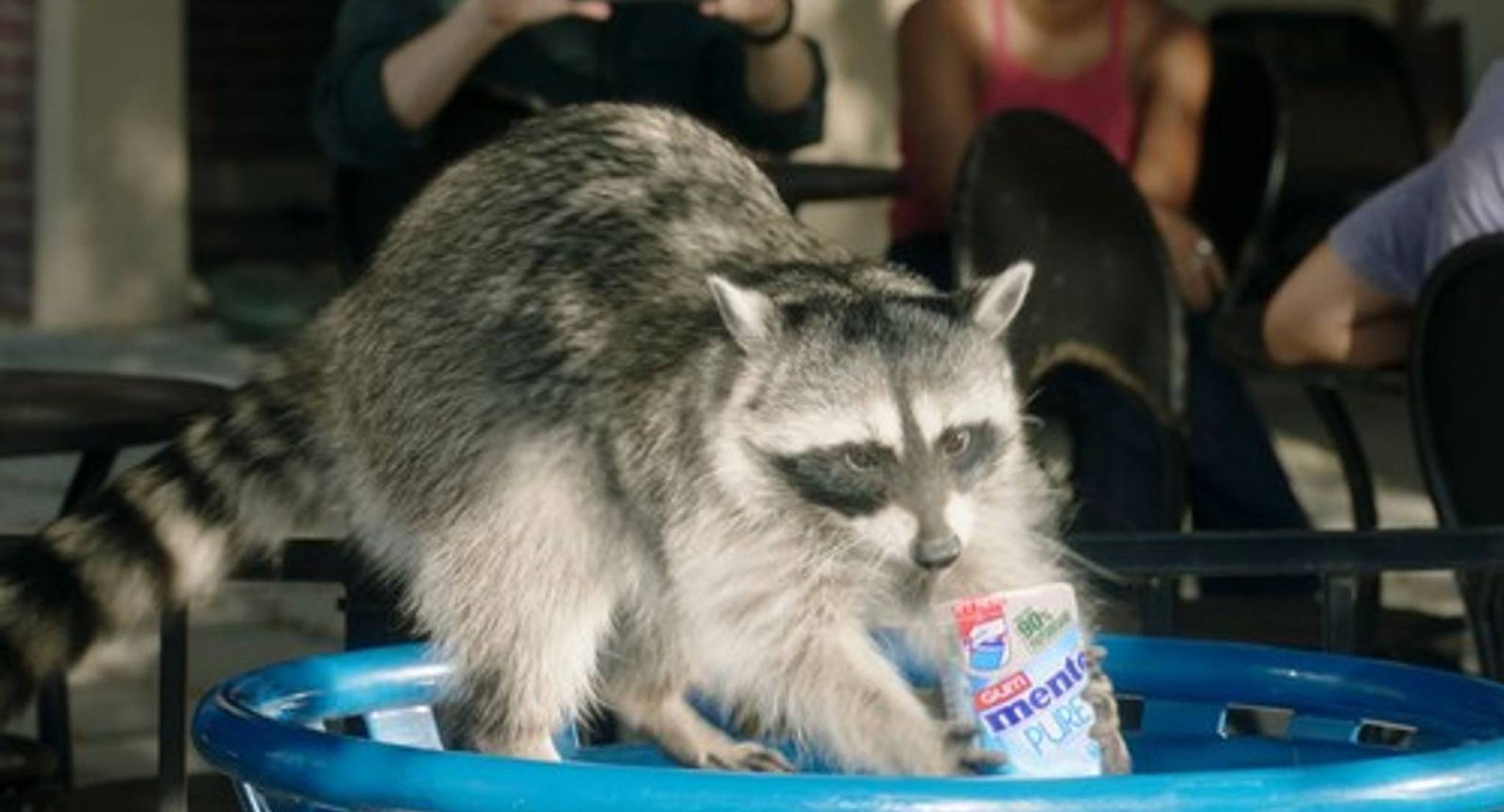 Mentos calls on Americans to get better at recycling