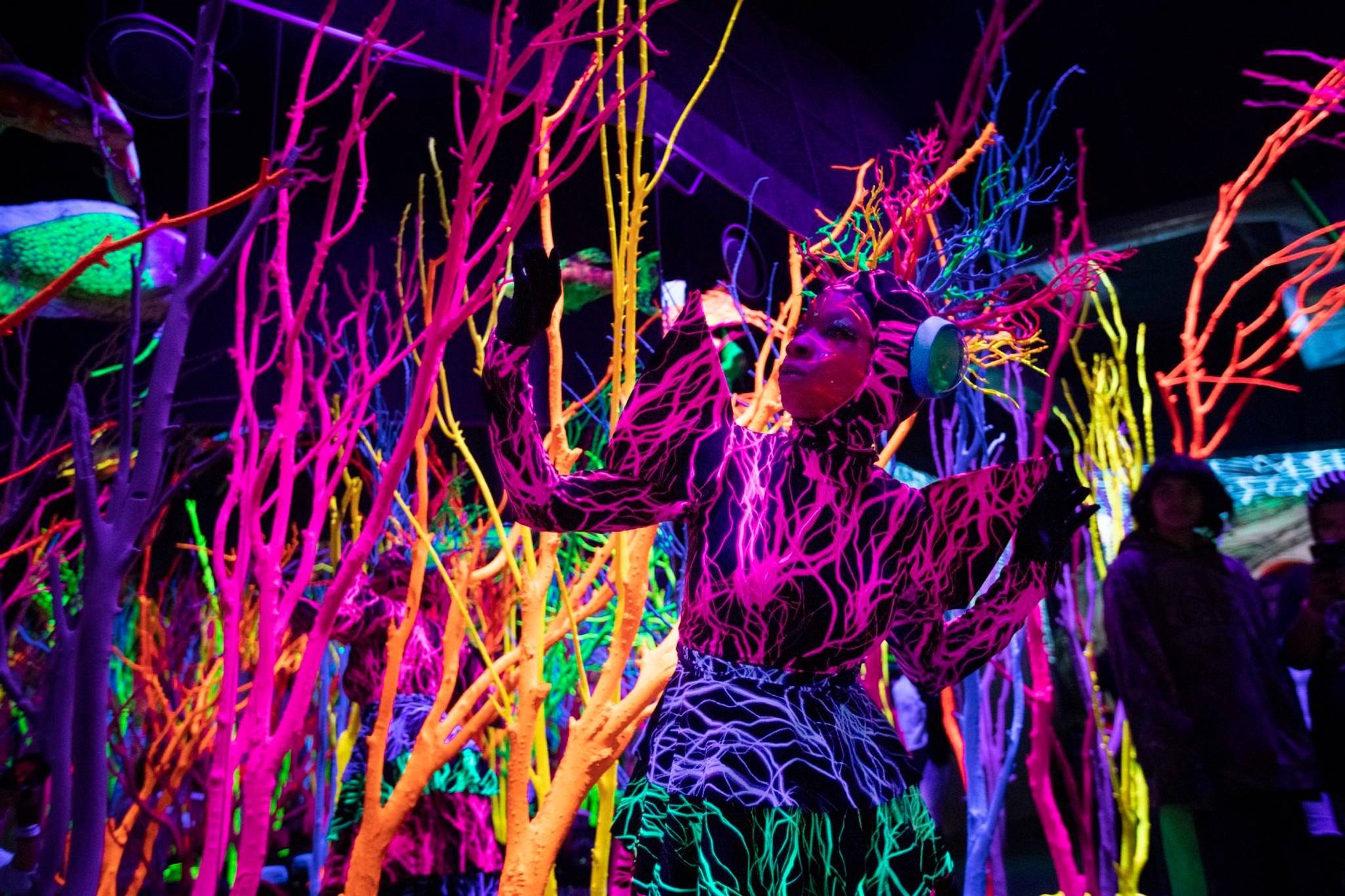 Meow Wolf: leading the transformation economy
