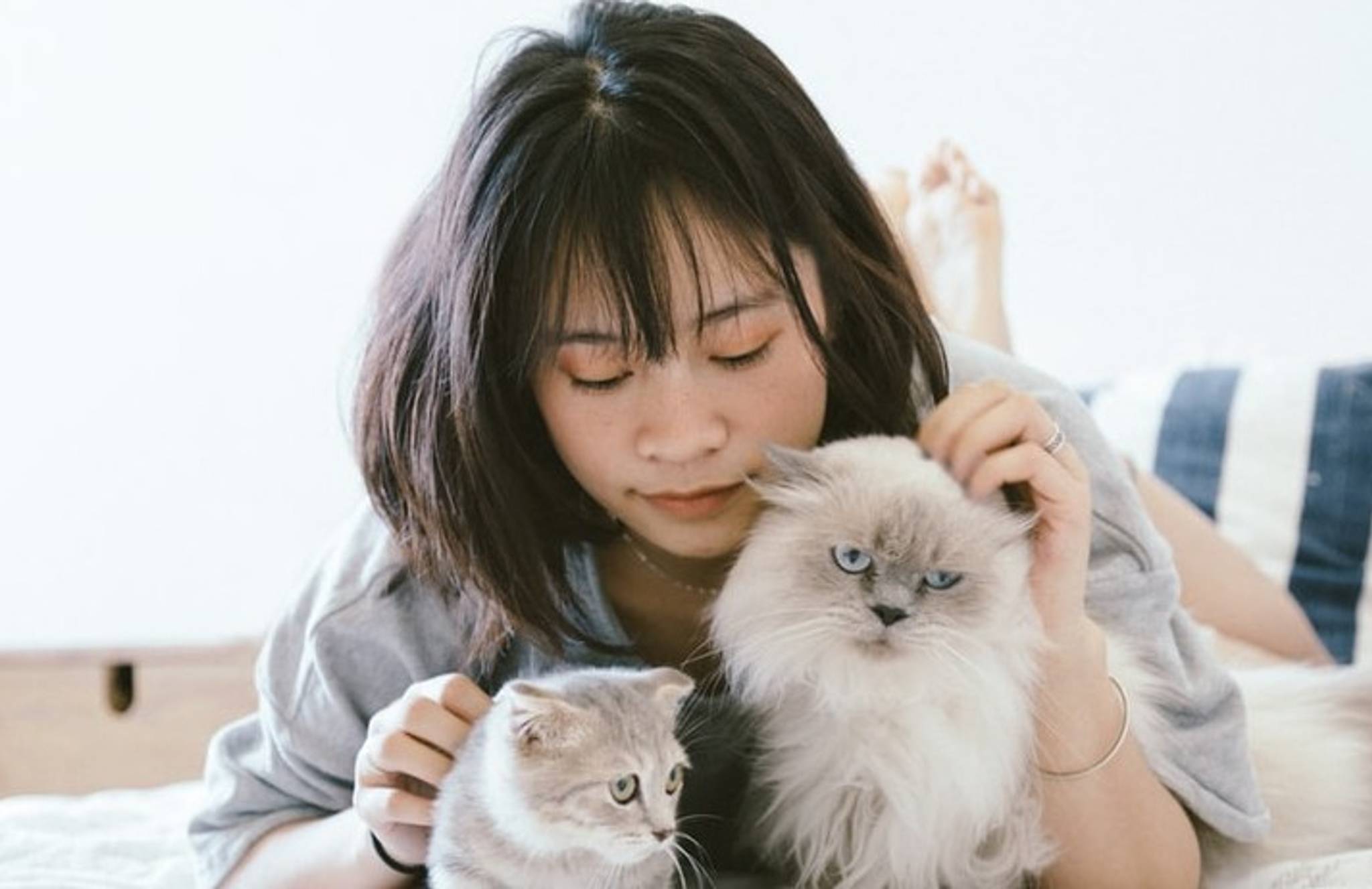 Chinese pet owners take pampering to new heights