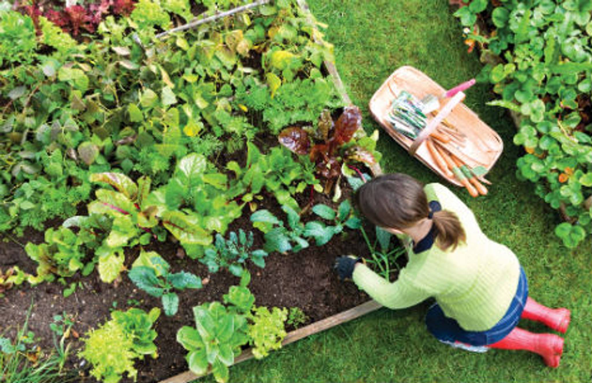 Why Brits really love gardening