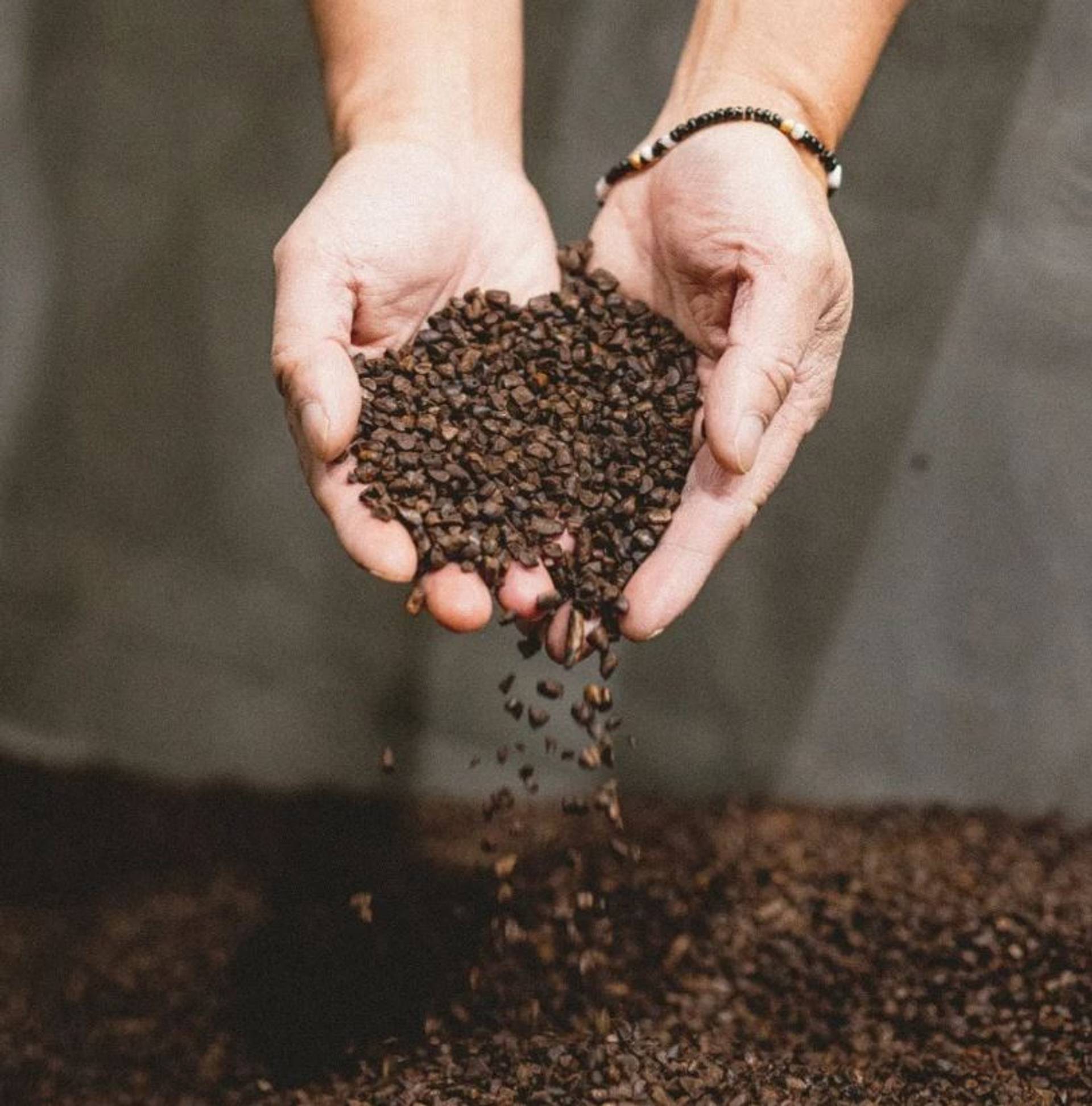 Upcycled beanless coffee engages eco-conscious drinkers