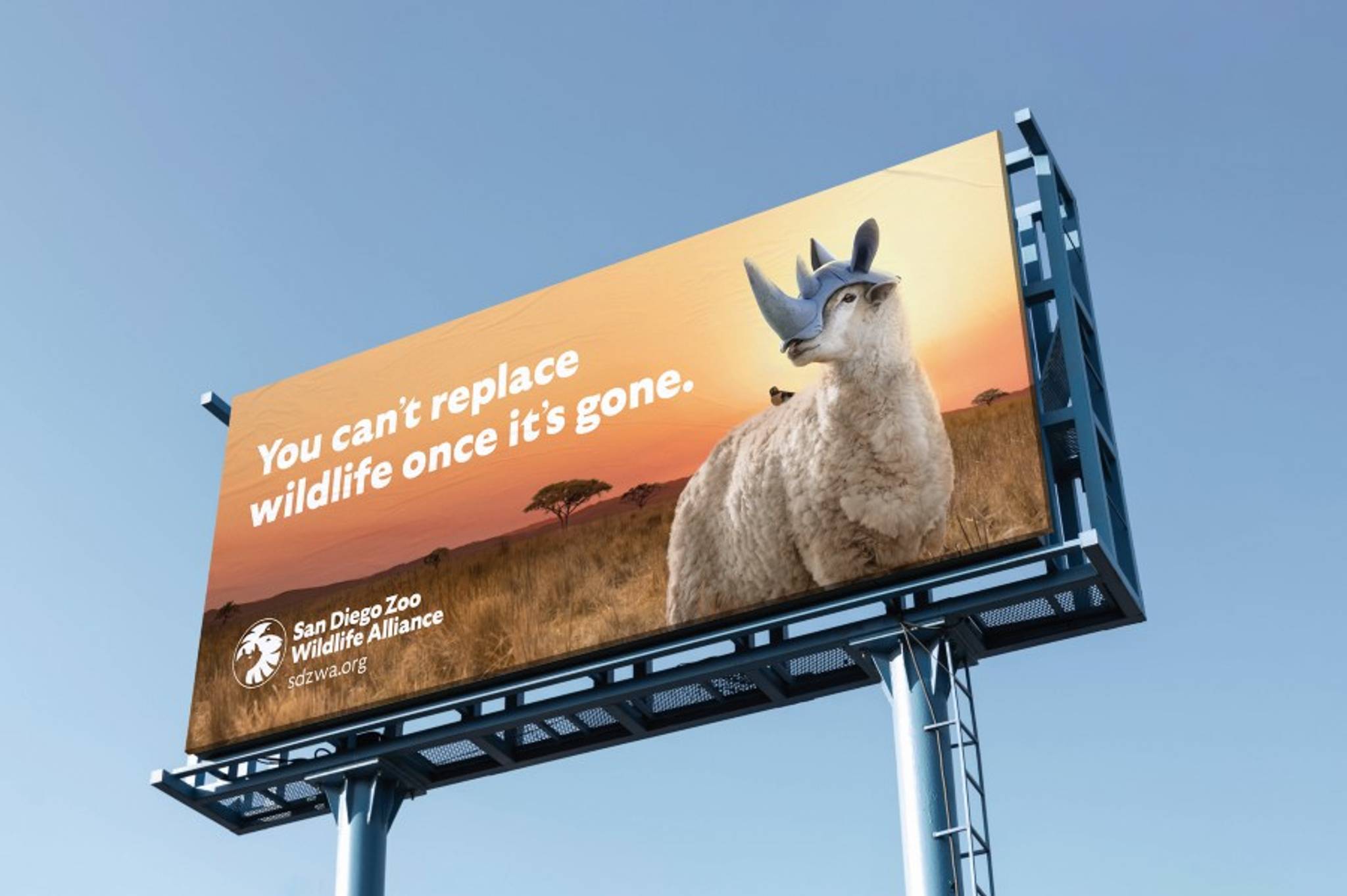 Conservation campaign uses humor to drive action