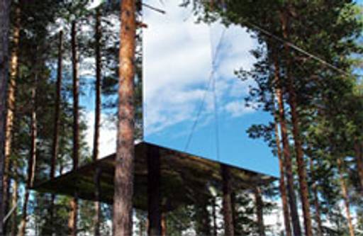 Swedish tree hotel