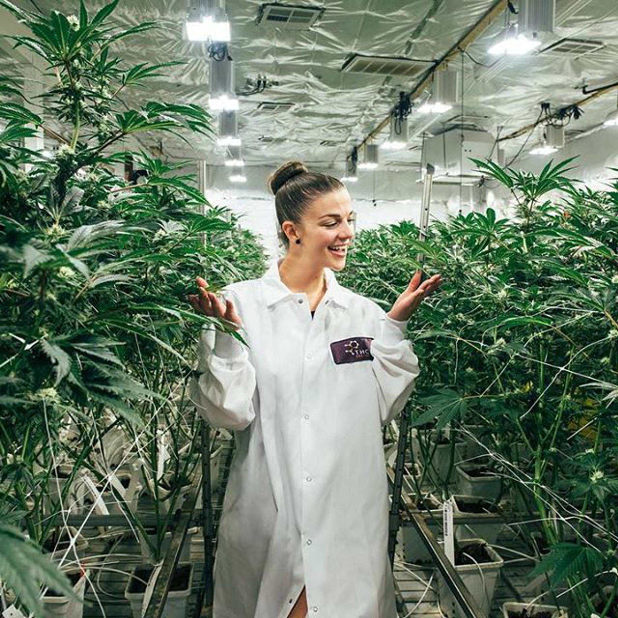 Weed influencers give brands weight of authenticity