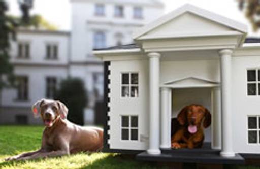 Dog Mansions