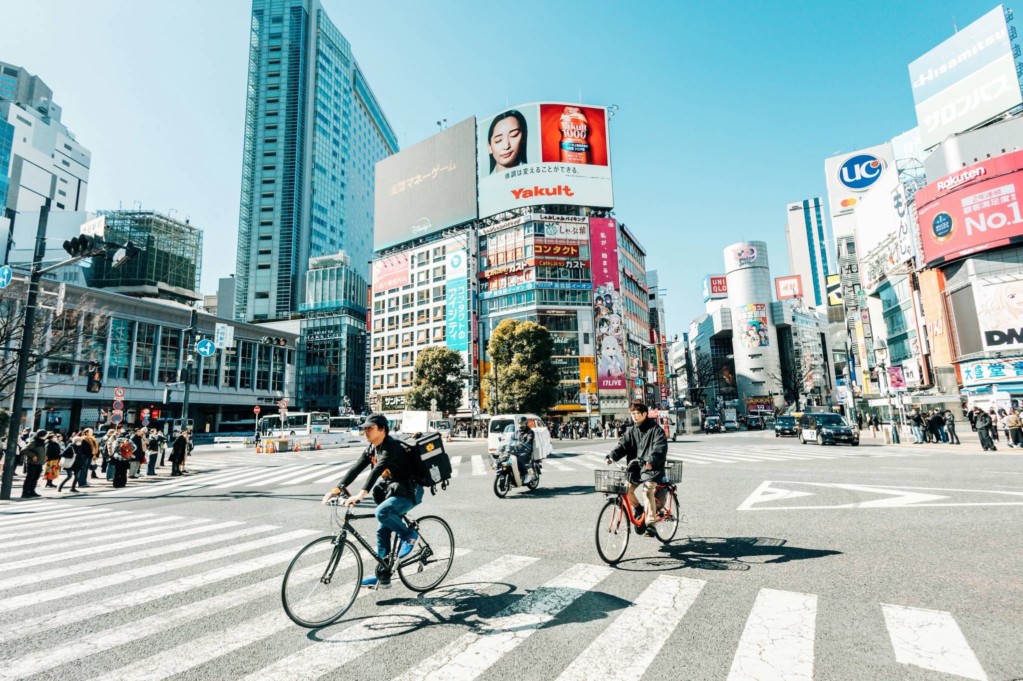 A Cultural Snapshot of Japan: 2026