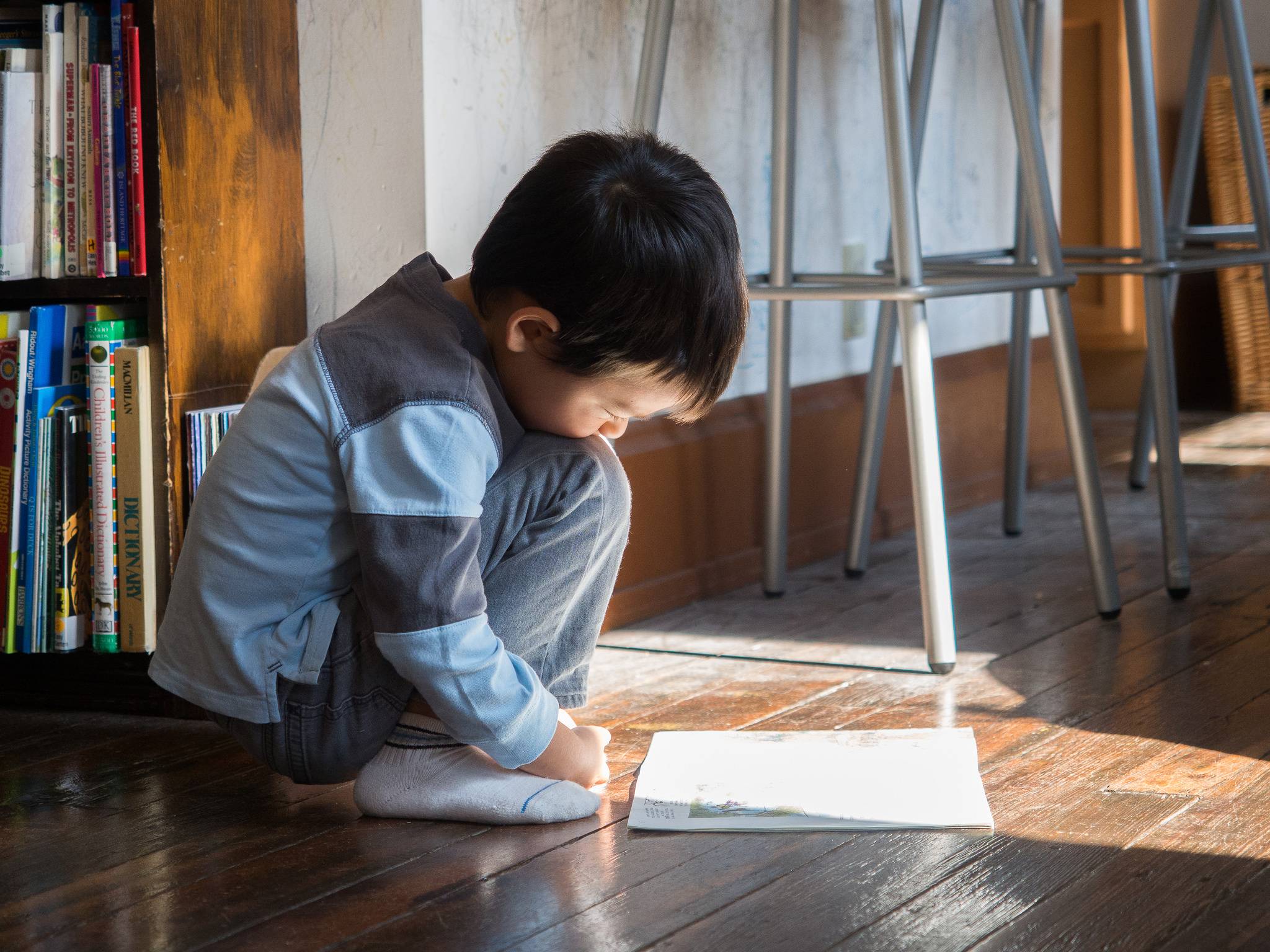 Japan has a word for buying books we’ll never read