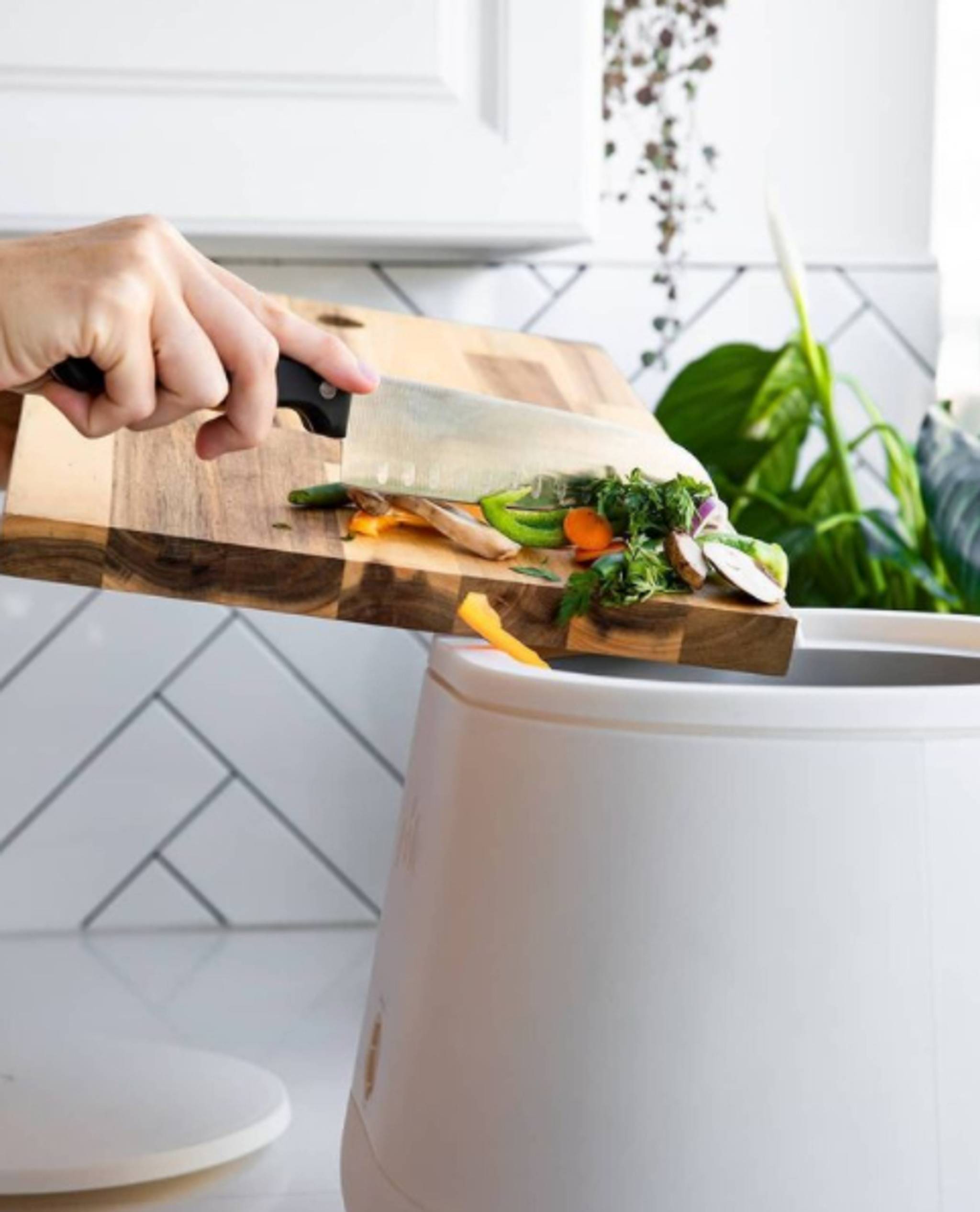 Lomi composting gadget simplifies home recycling