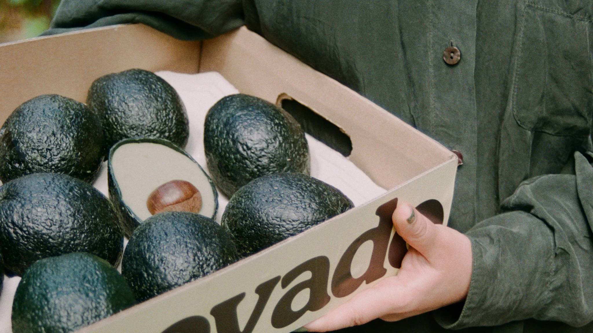 Evocado serves up greener alternative to avocados