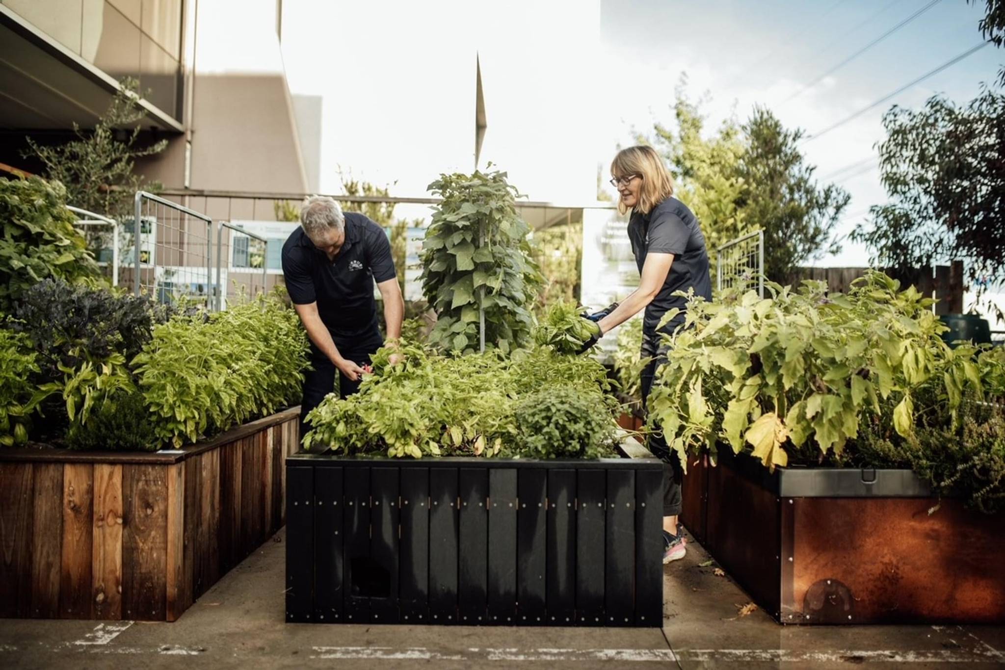 Why are Aussies growing their own food?