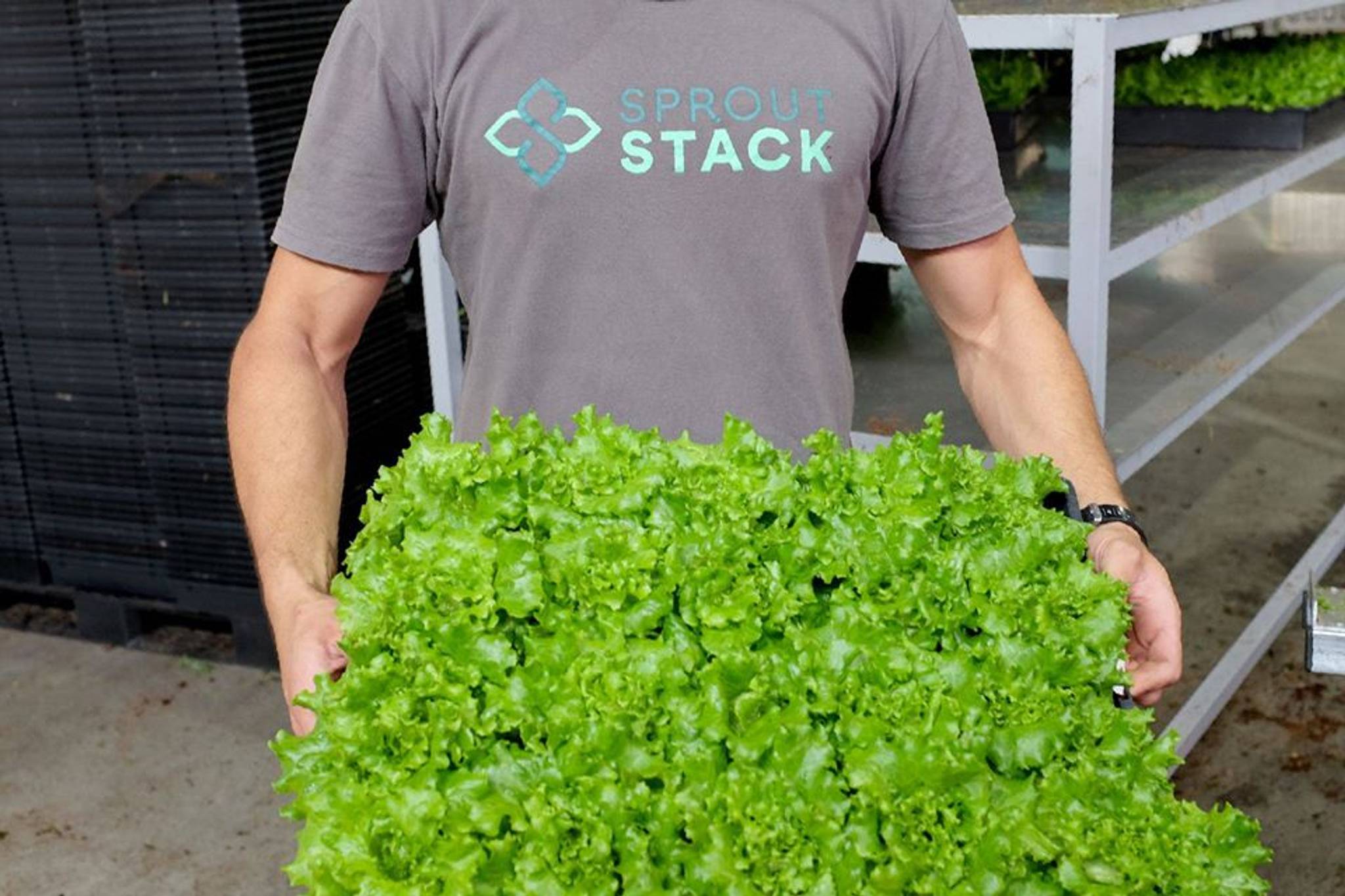 Sprout Stack brings farm-fresh produce to Aussie cities