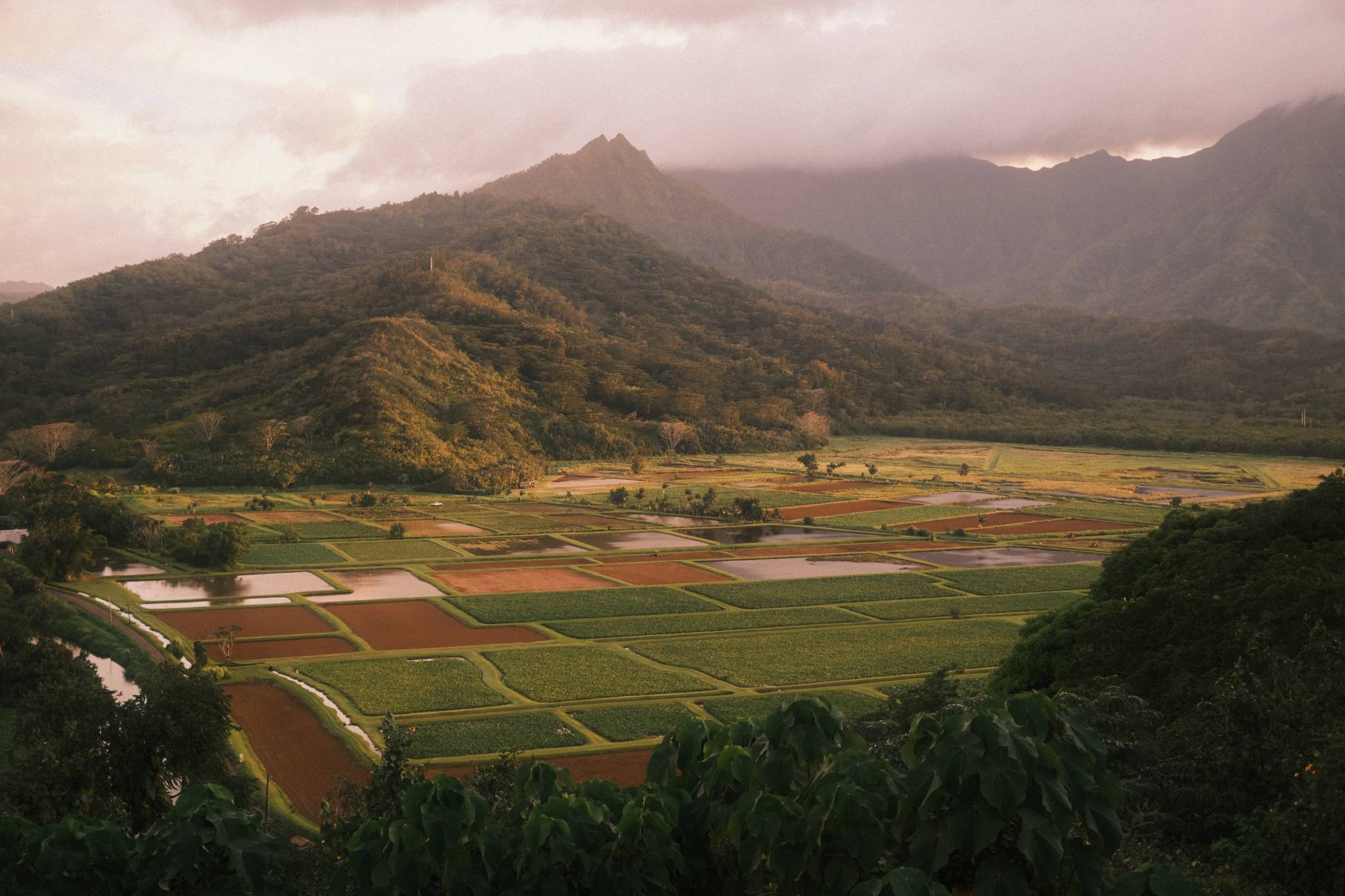 NASA tech supports food sovereignty in Hawai’i