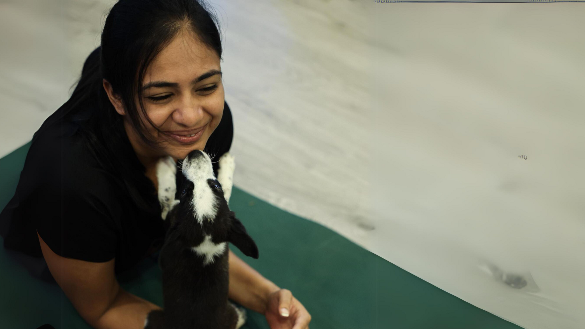 Why Pawga extends itself from yoga to animal welfare