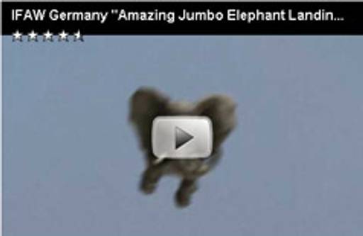 Dumbo Jet