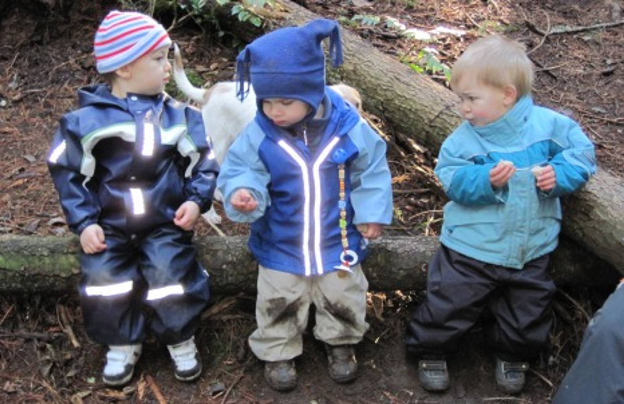 Waldkindergarten: learning from the great outdoors