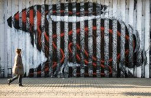 Belgian artist uses graffiti to brings wildlife to urban jungle