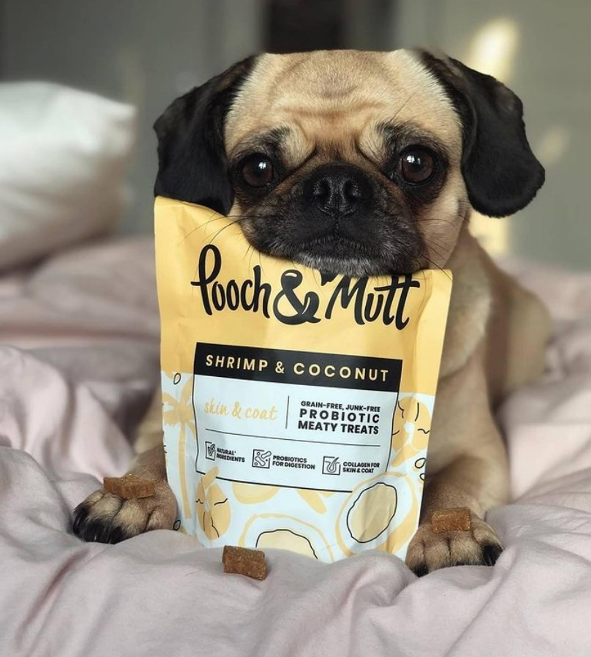 Pooch & Mutt sells functional food for pets