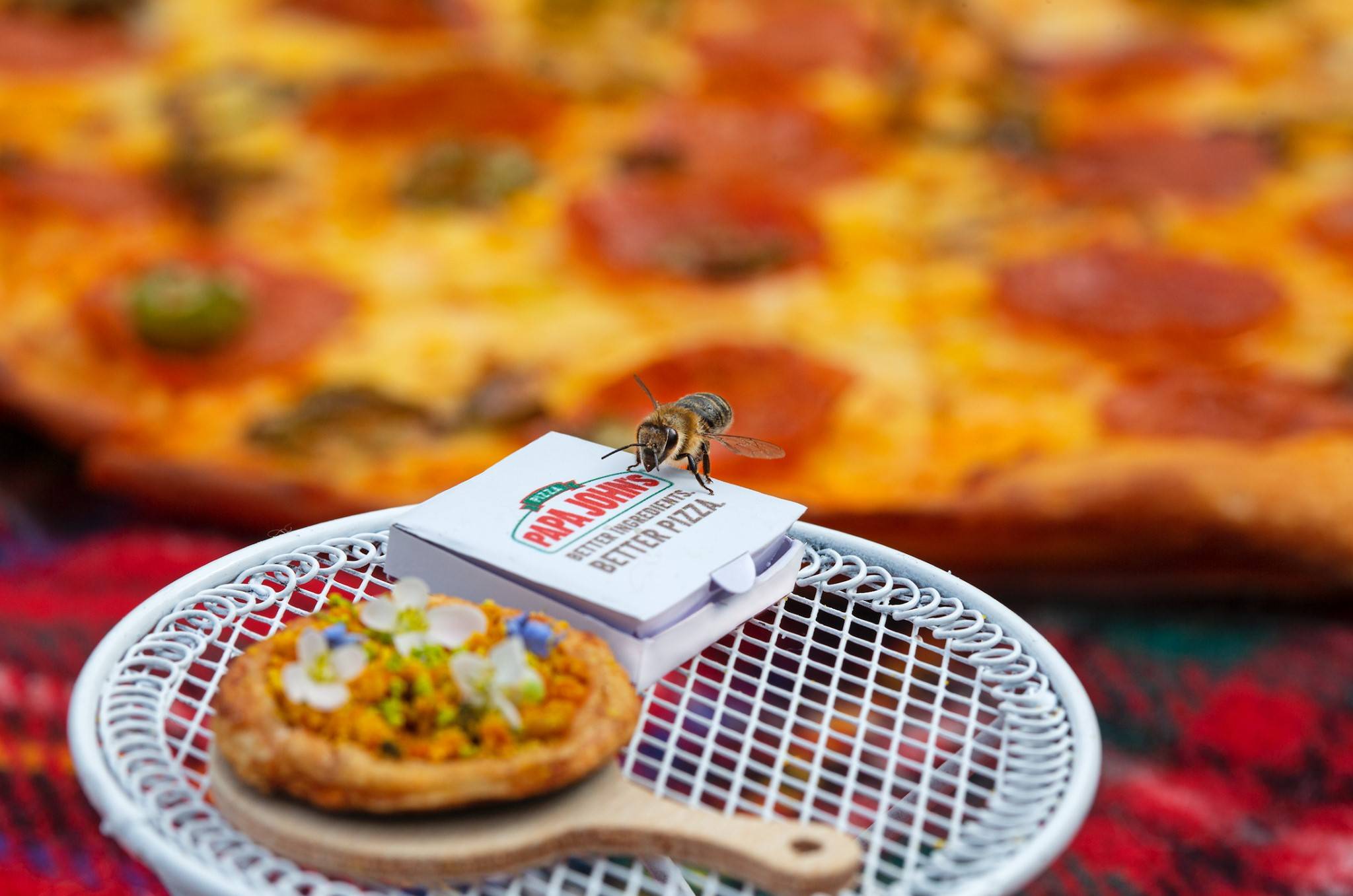 Papa John’s ‘pizza for bees’ highlights their decline