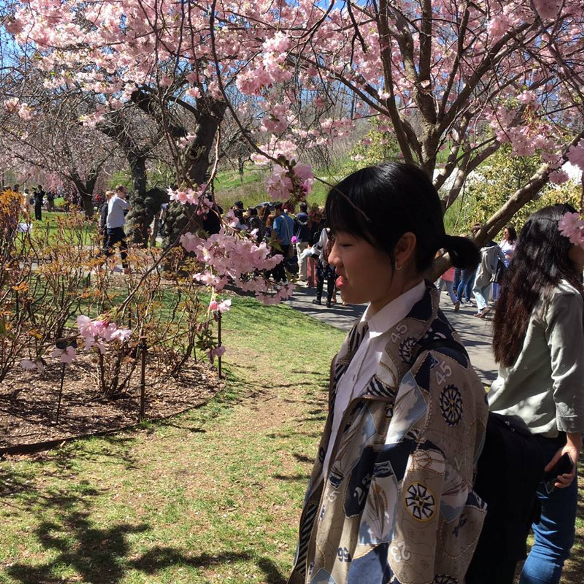 image-ab4339d0e2103a2c9743ce3d0568dc478551cdb5-800x800-jpg