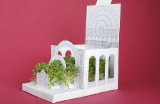 Pop-up postcard that turns into a minature garden