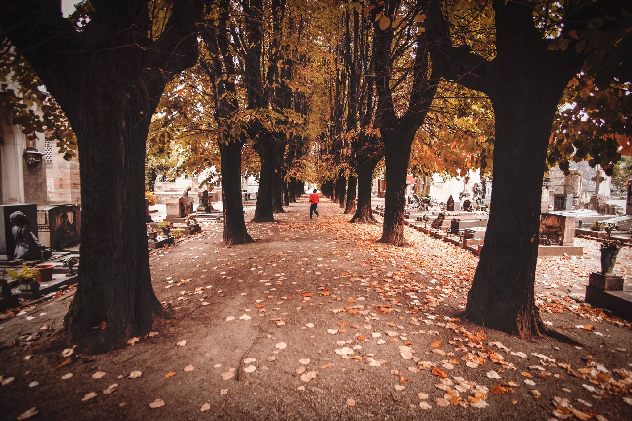 Cost deters Germans from being buried in cemeteries