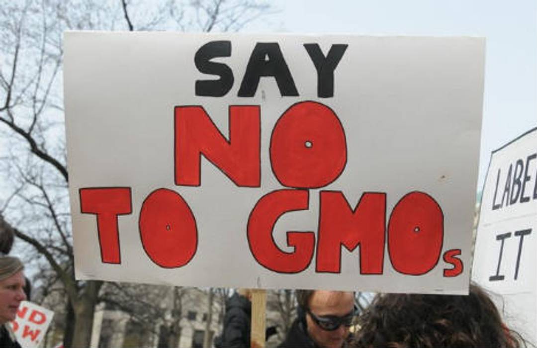 Will 'GMO-free' foods take off in the US?