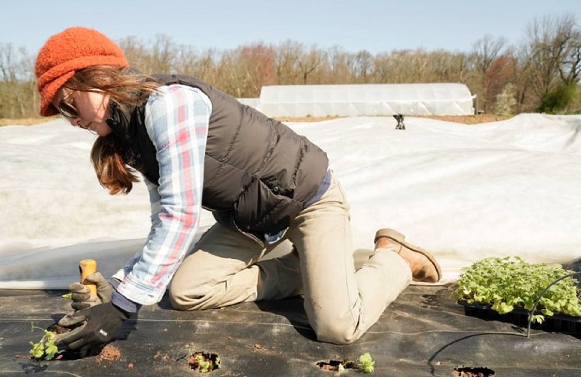 Home-farming builds self-sufficiency among Americans