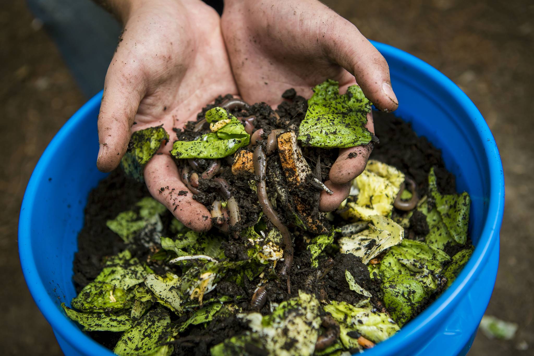 Compost Works lets you virtually compost