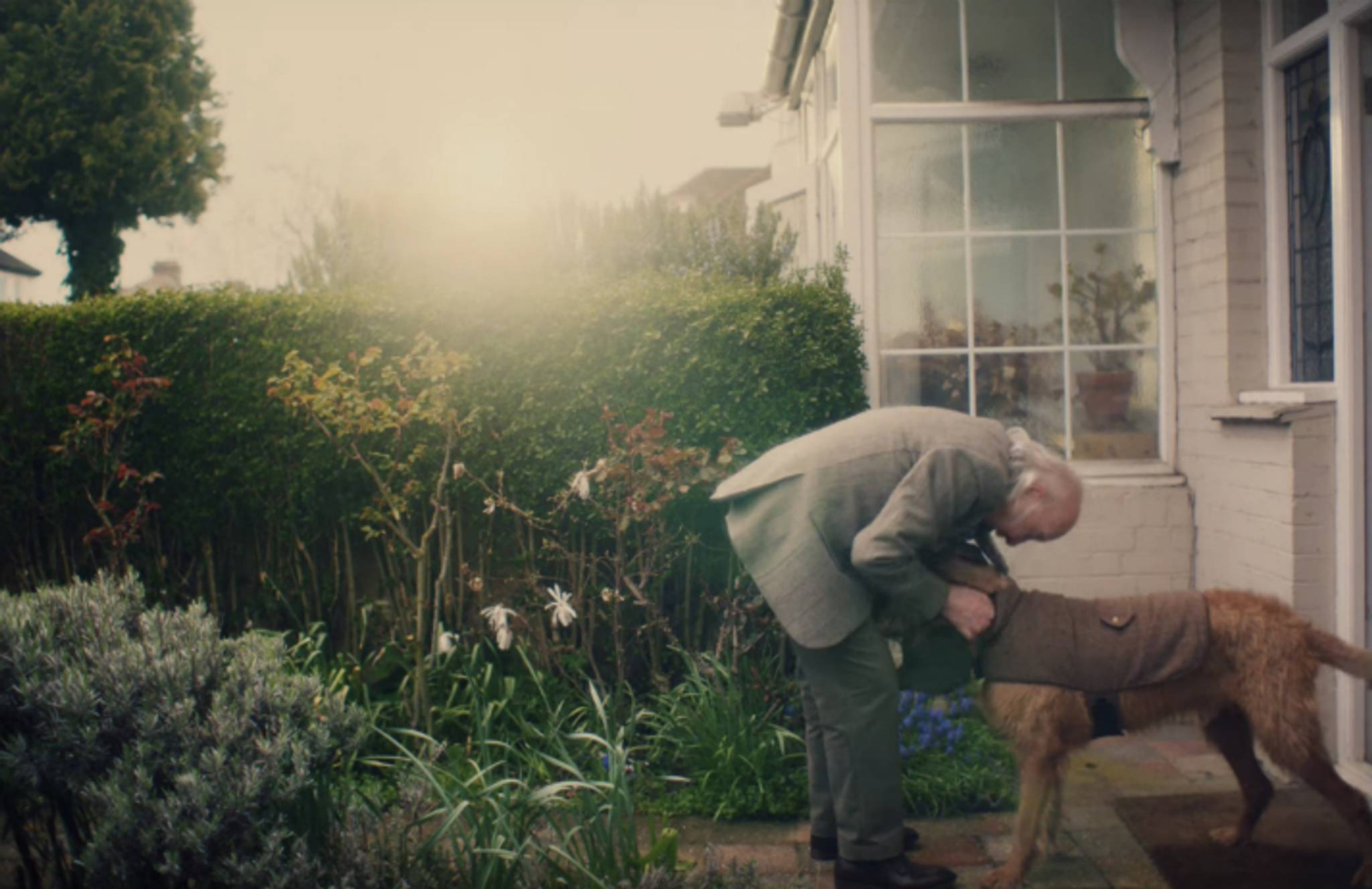 Pedigree's 'dog date' ad remedies Senior loneliness