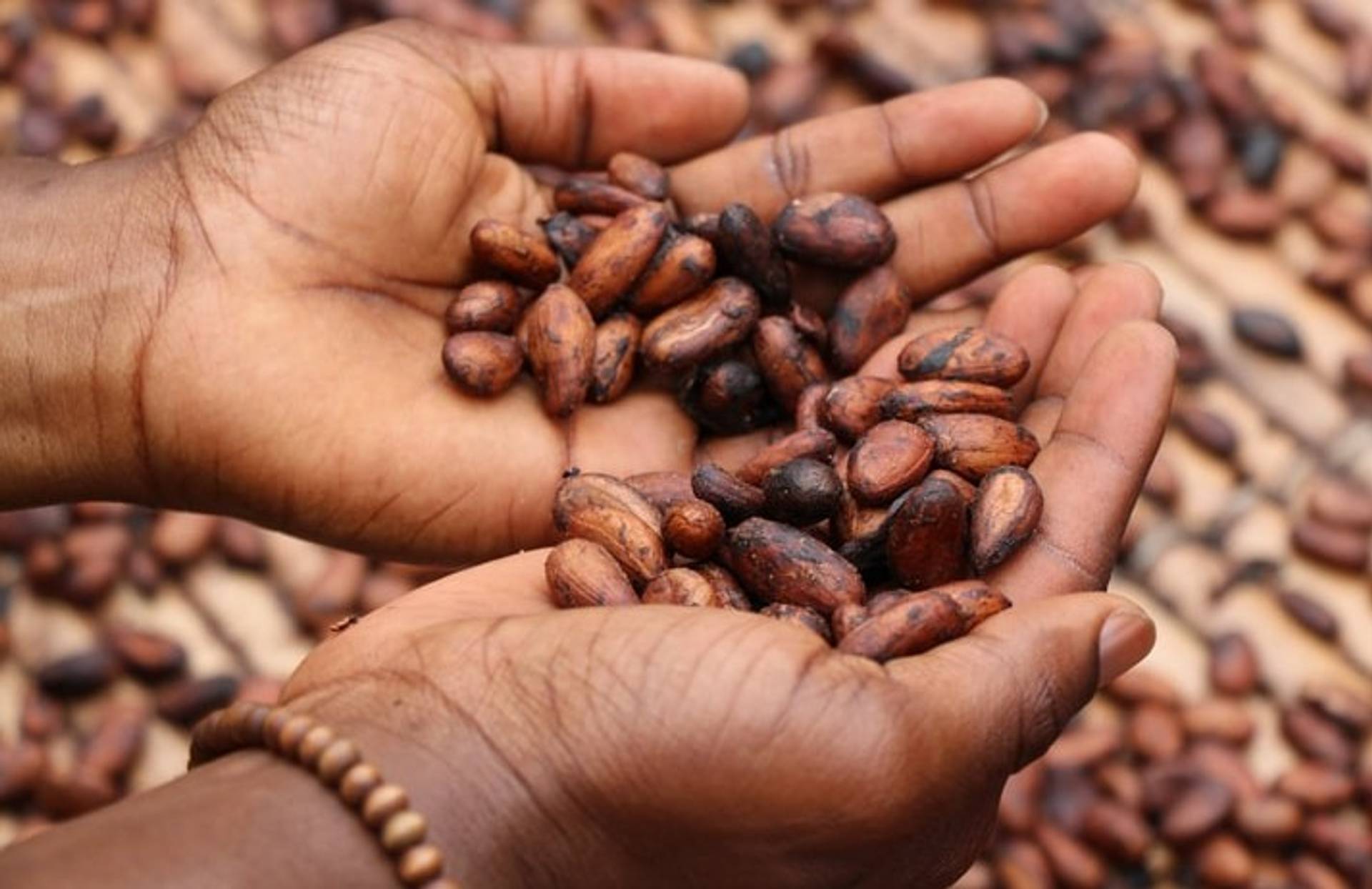 Cacao waste chocolate targets sustainable snackers