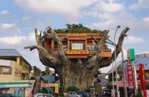 Enormous Treehouse Restaurant